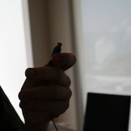 IMG_1454.JPG