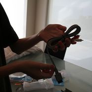 IMG_1492.JPG